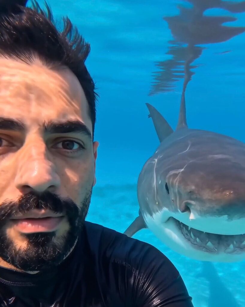 Viral Video Ai Prompt Shark under water hitting his face